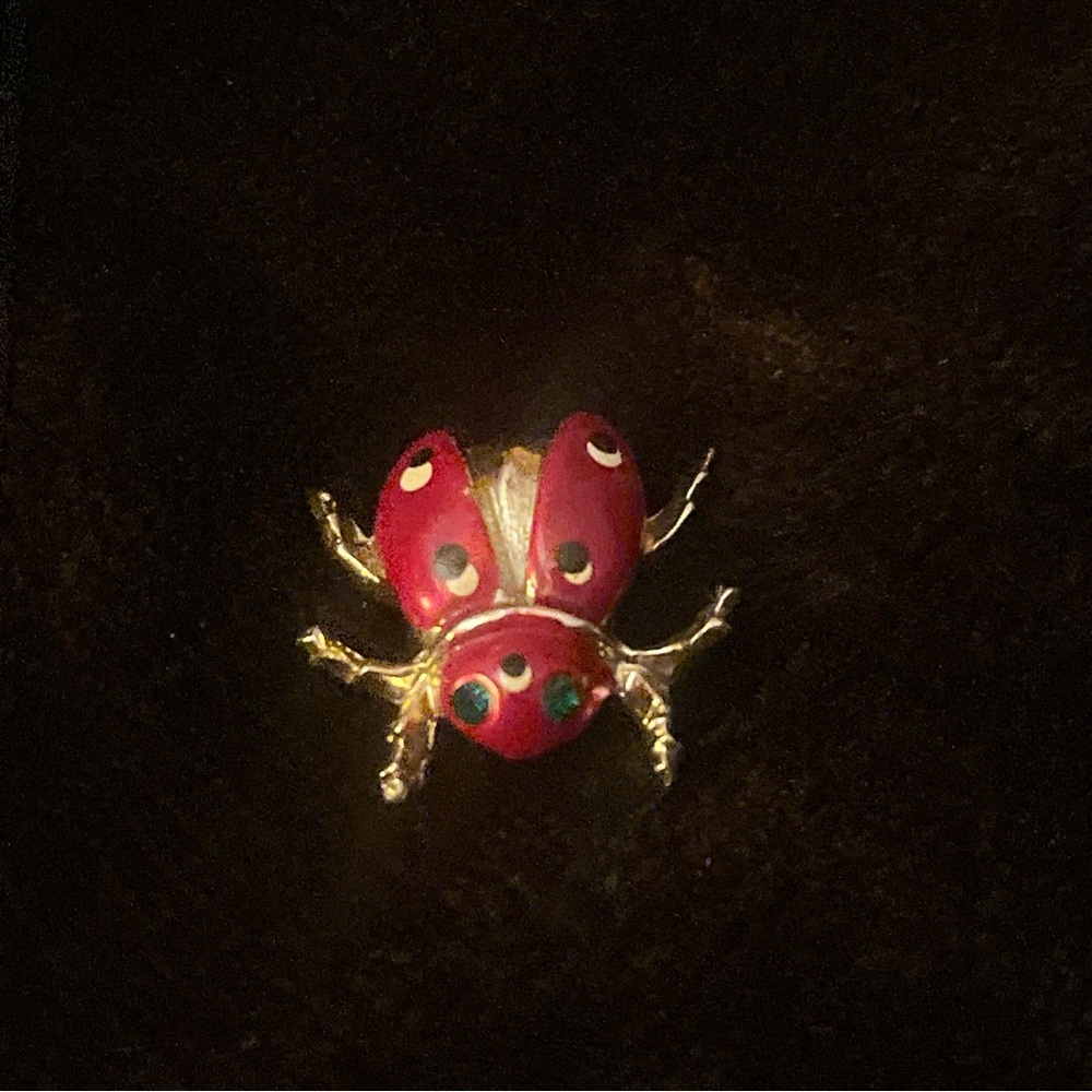 Red and Gold Ladybug Brooch